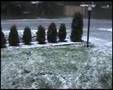 Freak Hail Storm in the Spring: Seattle