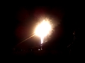 Fireworks - a Jungle Friends 4th of July