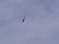DF60 windy flight