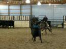 Tupa - Blue Roan Filly Tupa - Blue Roan Filly