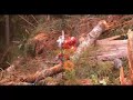 Loggers Hellicopters part 1 of 2 Loggers Hellicopters part 1 of 2