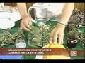 Gastritis: cura al natural