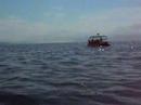Arriving to the whale watching location