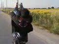 Pazzo con lo zip