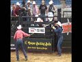 Lot #2487 - Coming 4yr Old Bucking Bull Lot #2487 - Coming 4yr Old Bucking Bull