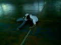 MOV00764