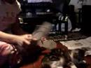 killer kitties