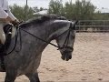 Carmen dressage lesson 4
