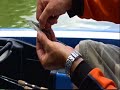 Popper Shad Rigging Technique