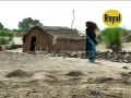 amjadroyal song mpg