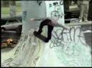 Bam Margera – 411vm