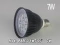 Bombilla de LED PAR 30 7W 60º