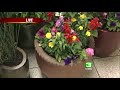 Add Some Color To Your Garden
