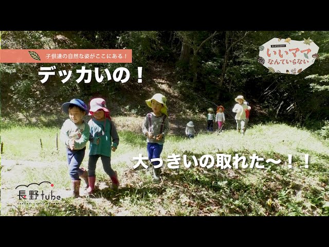 いいママなんていらない！vol ６ アケビが採れた！でも事件が！