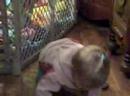 Apr 22 2008 - VID00013