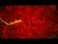 Valentine's Day Song - Have Fun, Flirt, Fall in Love