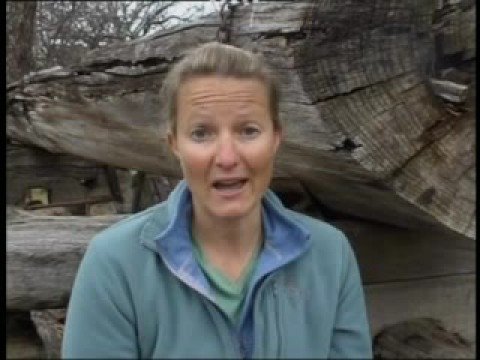 Fuel loads for fires See video