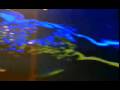 XOYM VIDEOS