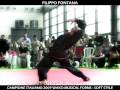 videos de Filippo Fontana musical forms soft style 2009. vittoria italiani 2009 e Bestfighter 2009