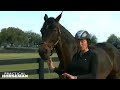 Callan Solem on Chilling Out a \"Hot\" Horse