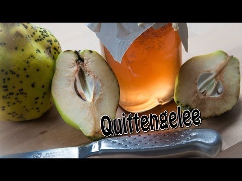 selber - Das Gelee ist schnell zubereitet und eignet sich nicht nur als Geschenk - es schmeckt auch noch einfach super. Auch Soßen zu Wild gibt das Quittengelee den l...