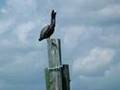 Madeira Beach FL Condo Rental on the Gulf of ...