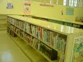 a briefing about the library