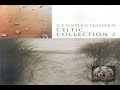 Suikoden Celtic Volume 2 - Mysterious Forest