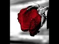 رابح صقر على البال