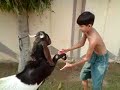 OMAR & AREEB.MP4