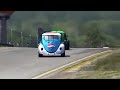 Beetle