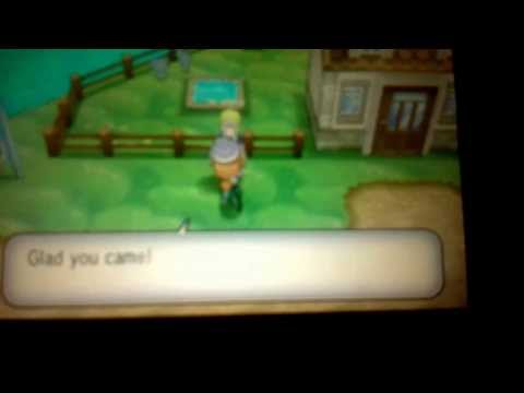 how to get more eggs in pokemon y