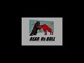 Bear Vs Bull