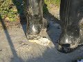 Rubber Boots and bread Rubber Boots and bread