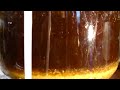 Mini-Mash Homebrew Yeast gone wild!