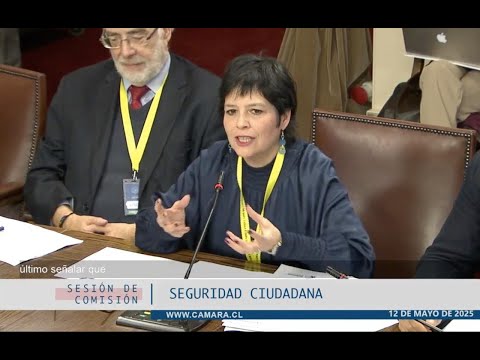 Defensora Nacional Ver&oacute;nica Encina, expuso ante la Comisi&oacute;n de Seguridad Ciudadana de la C&aacute;mara