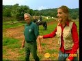 caballos menorquines   viajes a menorca   muchoviaje