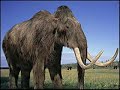 Extinct Animals and Dinosaurs