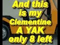 My clementine