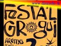 FESTA'L GROGUI '07 [Reportage-DLM Radio]