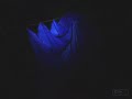 EXPLORACION SIST. ALTO TEJUELO (CANTO); ESPELEOLOGIA EXPLORACION SIST. ALTO TEJUELO (CANTO); ESPELEOLOGIA