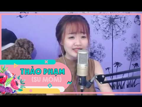 Nơi này có anh - Sơn Tùng MTP-Thảo Phạm cover