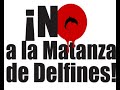 macaco insureccion son son  voces contra el maltrato animal 