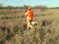 videos de gobblers_knob2.mpg