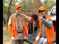 Woodcock Hunt
