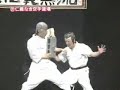 Show de Japoneses