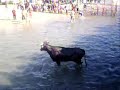Especial Largadas de Toiros na Praia do Ros�rio 2007-Parte2