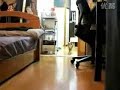 funny cat