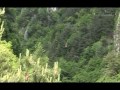 Slackline Yoga - Arcieri della Slack. Formazione e percorso all'equilibrio