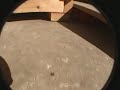 pop shuvit into bank